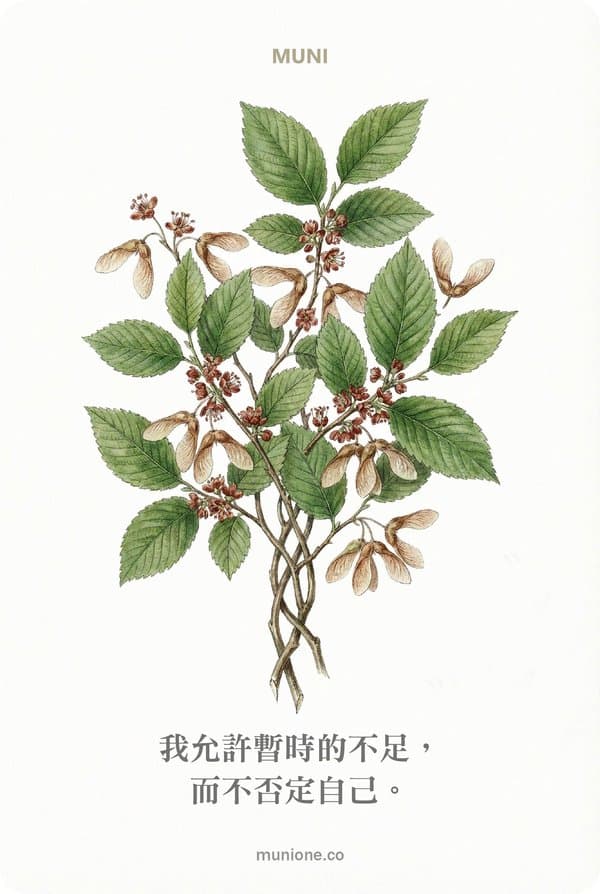 Elm（榆樹）