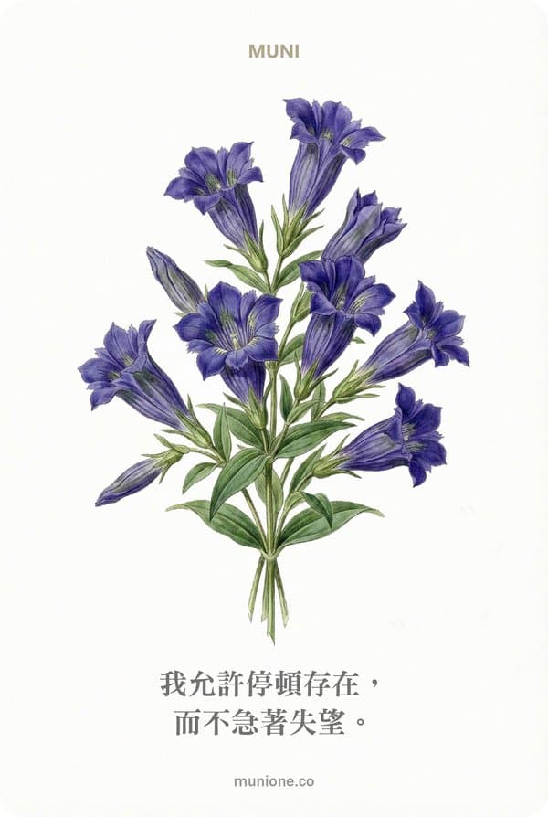 Gentian（龍膽）