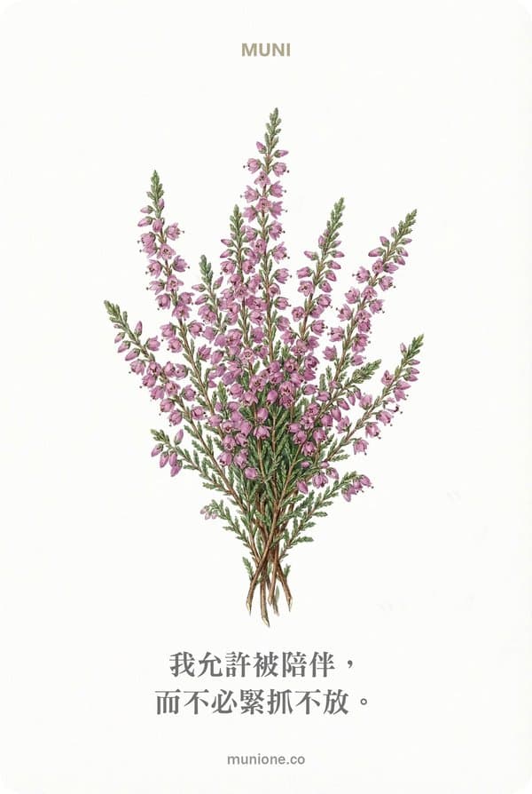 Heather（石楠）
