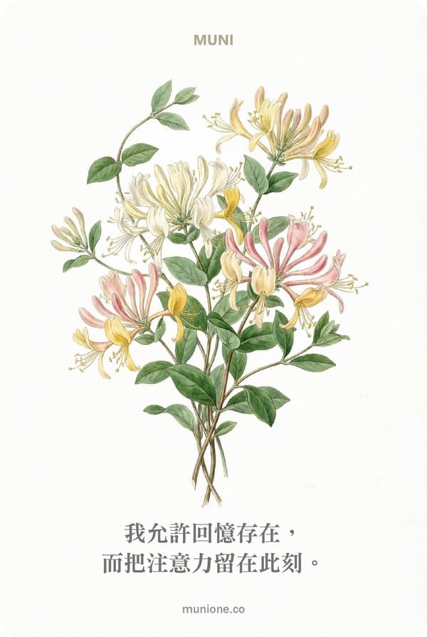 Honeysuckle（忍冬）