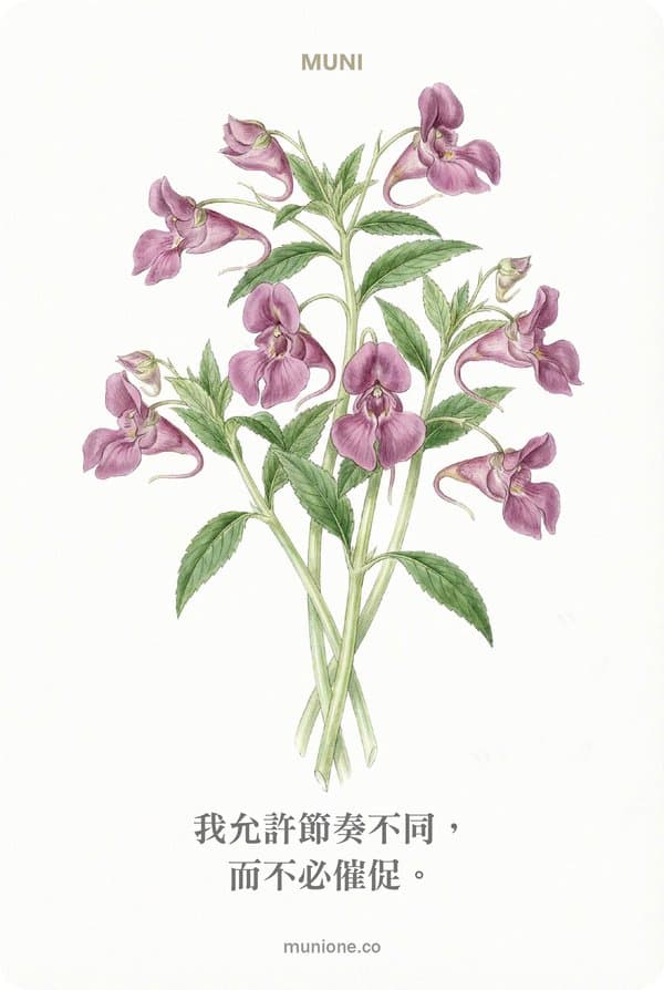 Impatiens（鳳仙花）