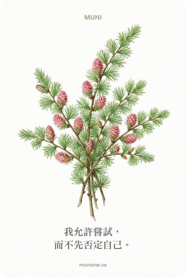 Larch（落葉松）