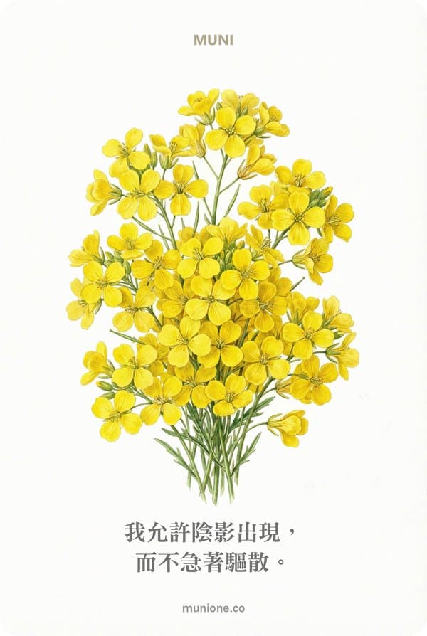 Mustard（芥末）