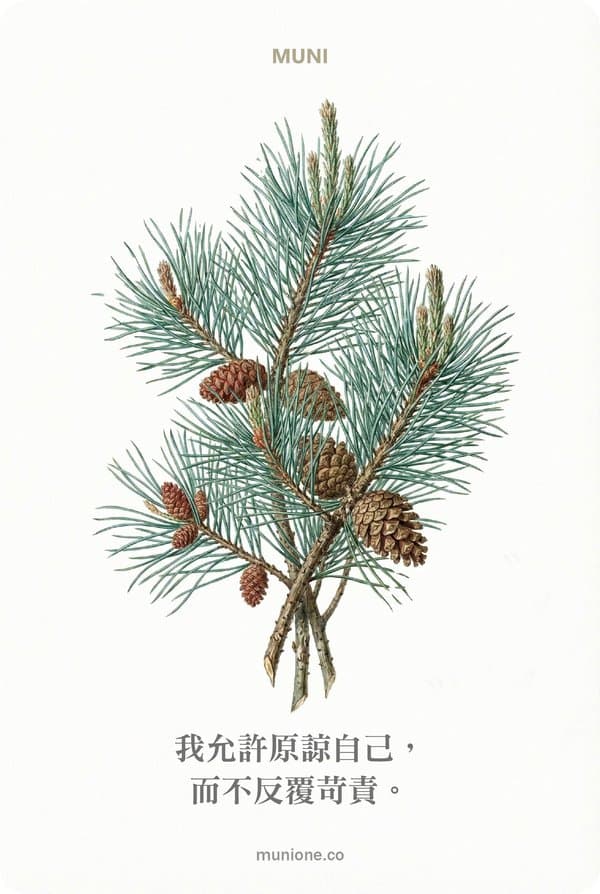 Pine（松樹）