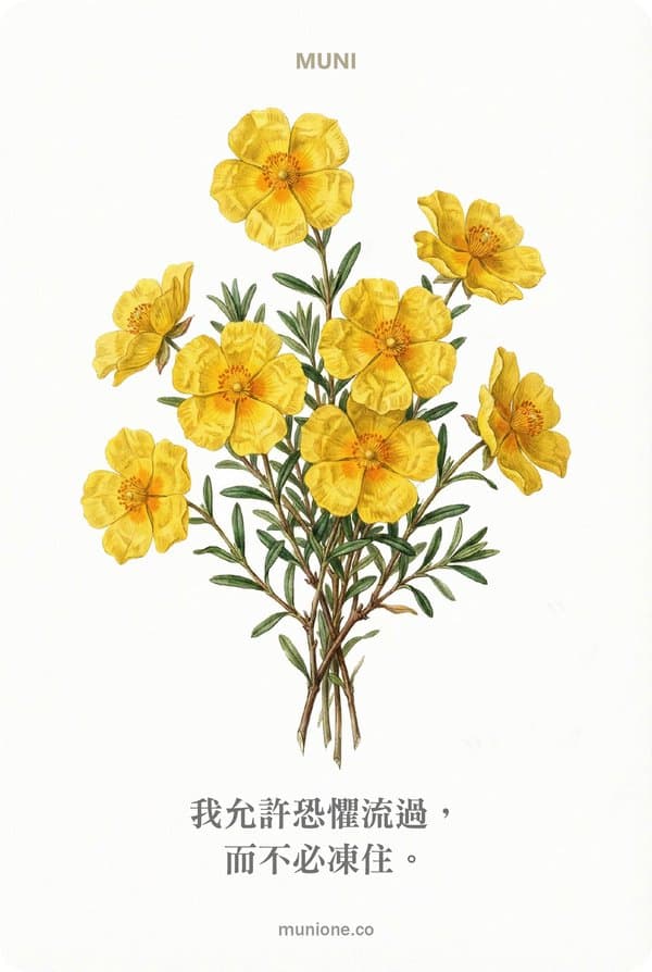 Rock Rose（岩玫瑰）
