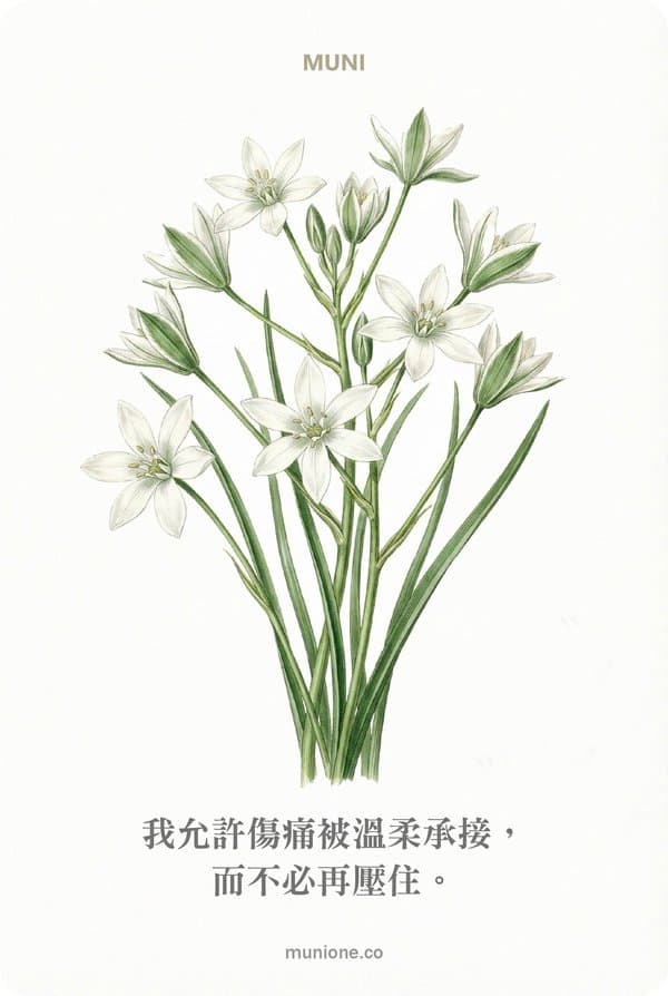 Star of Bethlehem（伯利恆之星）