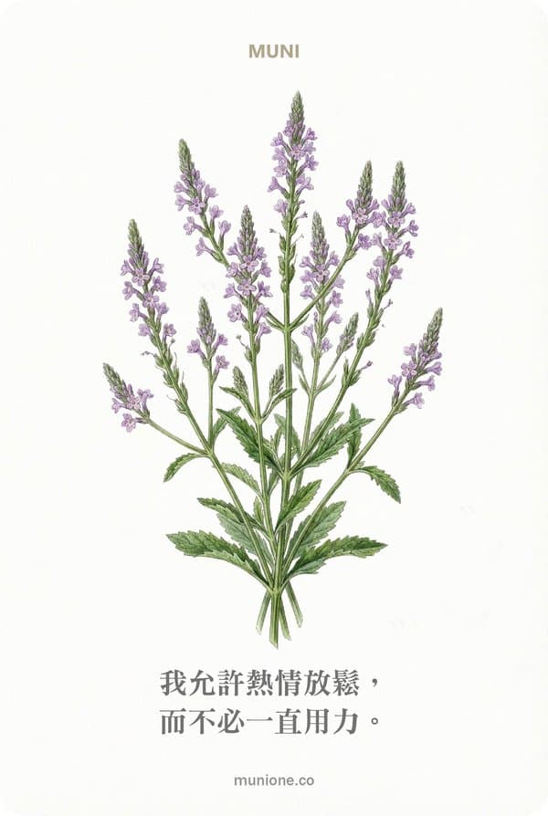 Vervain（馬鞭草）