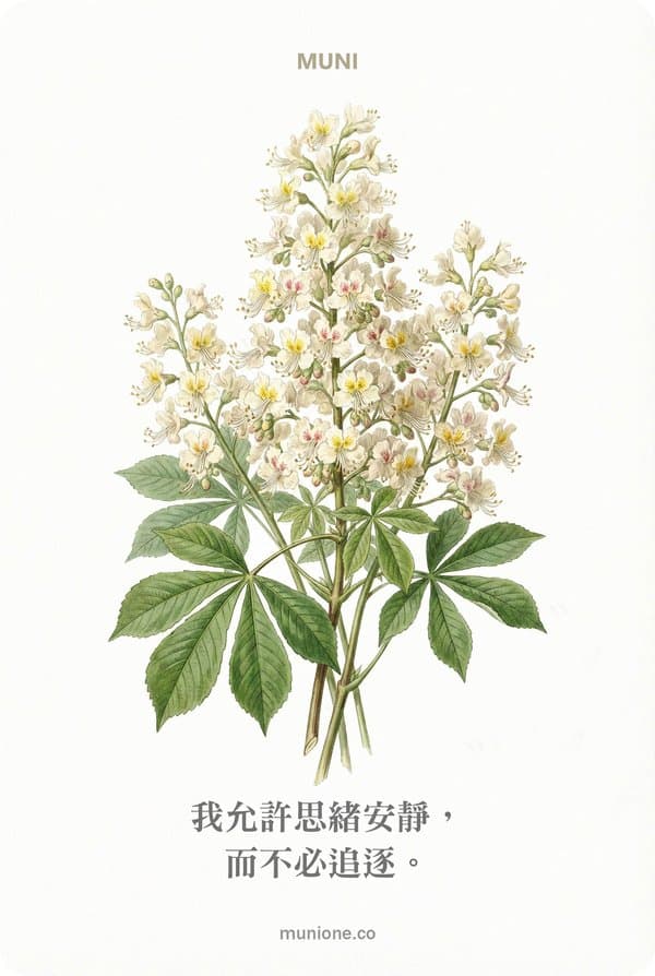 White Chestnut（白栗）
