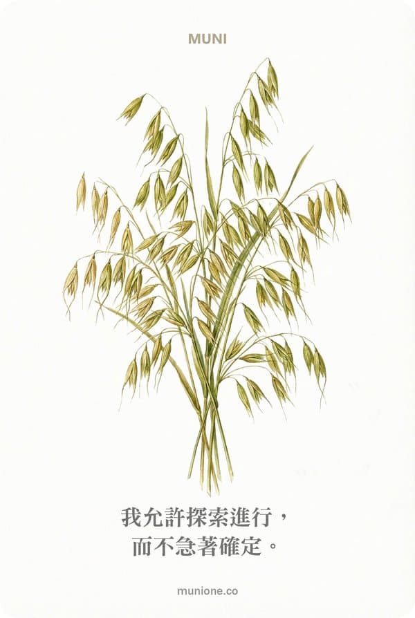 Wild Oat（野燕麥）