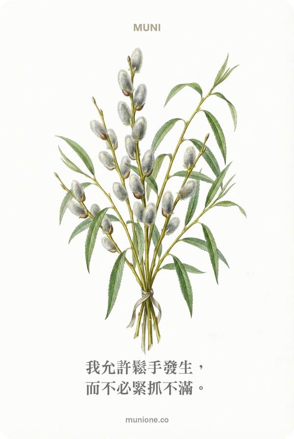Willow（柳樹）