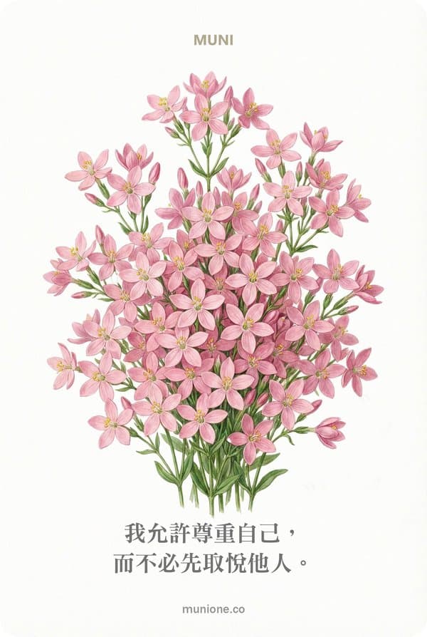 Centaury（矢車菊）