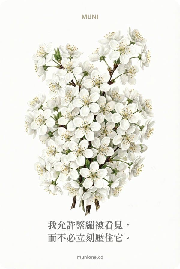 Cherry Plum（櫻桃李）